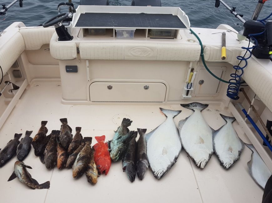 Total catch for the group (4 people) May 13, 2019