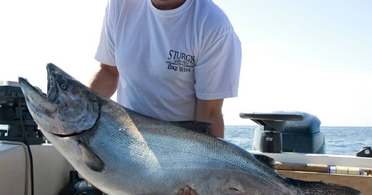 Fishing Resorts & Lodges Comparing Fishing Charters, BC Canada