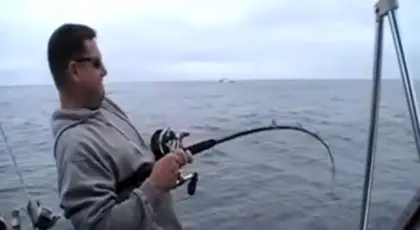 Halibut fishing to a T. This is fishing! Halibut fishing to a T. This is fishing!