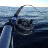 Kathy Shoop, Bow Washington