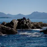 Bob and Jim Tritschler, Parksville BC