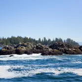 Mark Varble, Lawrence Kansas